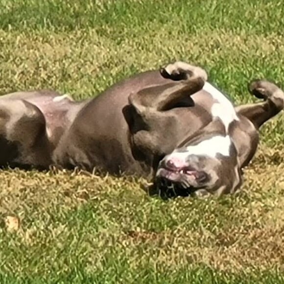 Meet your Posher, Adrianne! - Picture 14 of 16